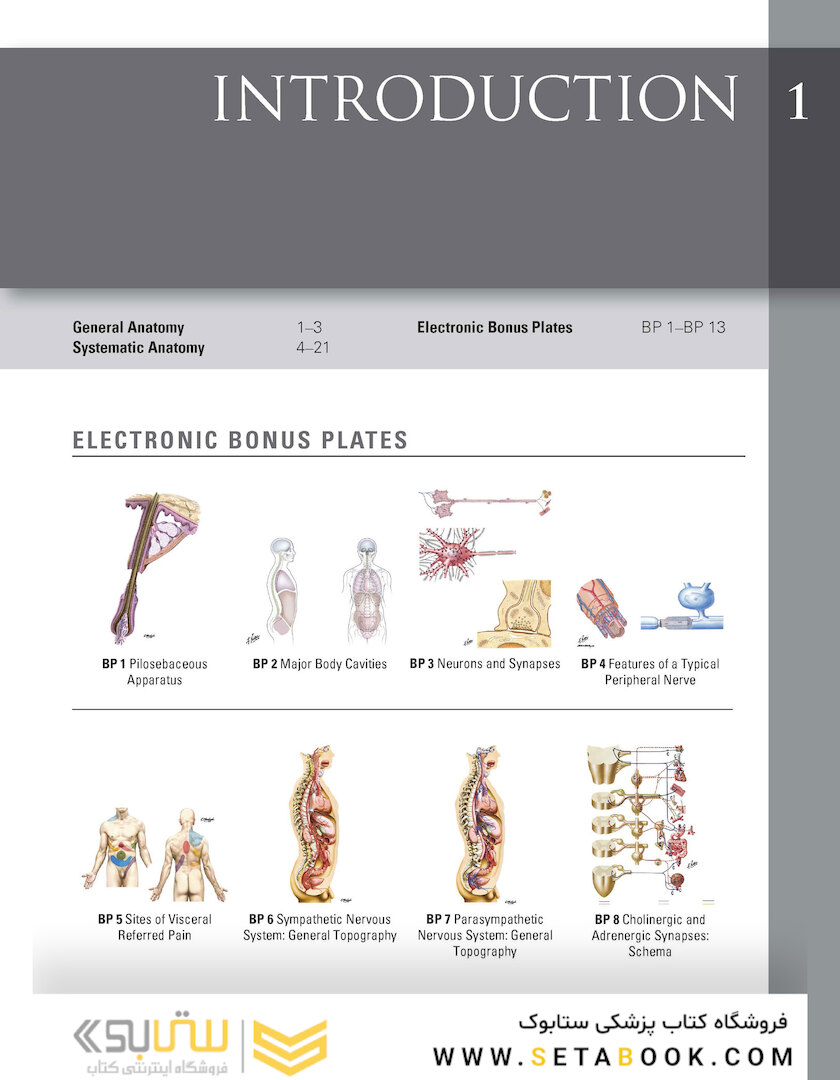 Netter Atlas of Human Anatomy: Classic Regional Approach: (Netter Basic Science) 8th Edition