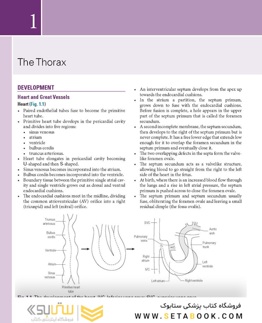 Basic Science for the MRCS: A revision guide for surgical trainees 4th Edicion