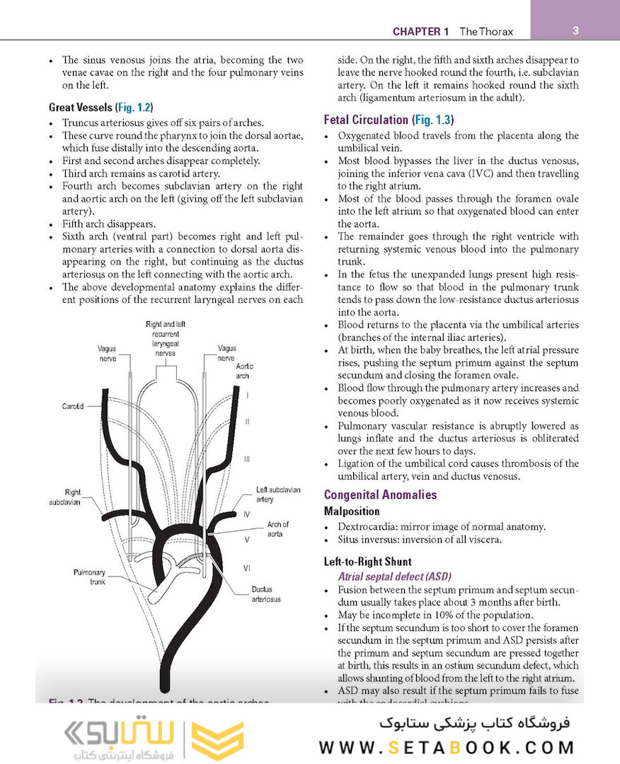 Basic Science for the MRCS: A revision guide for surgical trainees 4th Edicion