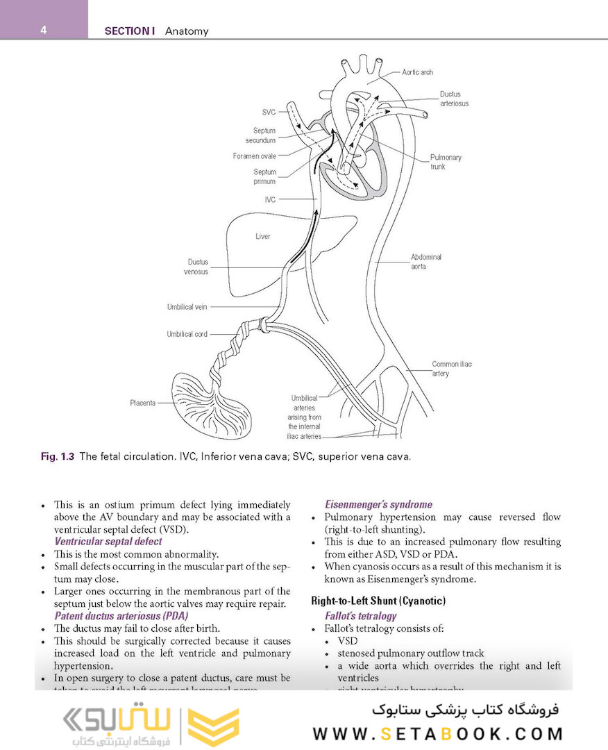 Basic Science for the MRCS: A revision guide for surgical trainees 4th Edicion
