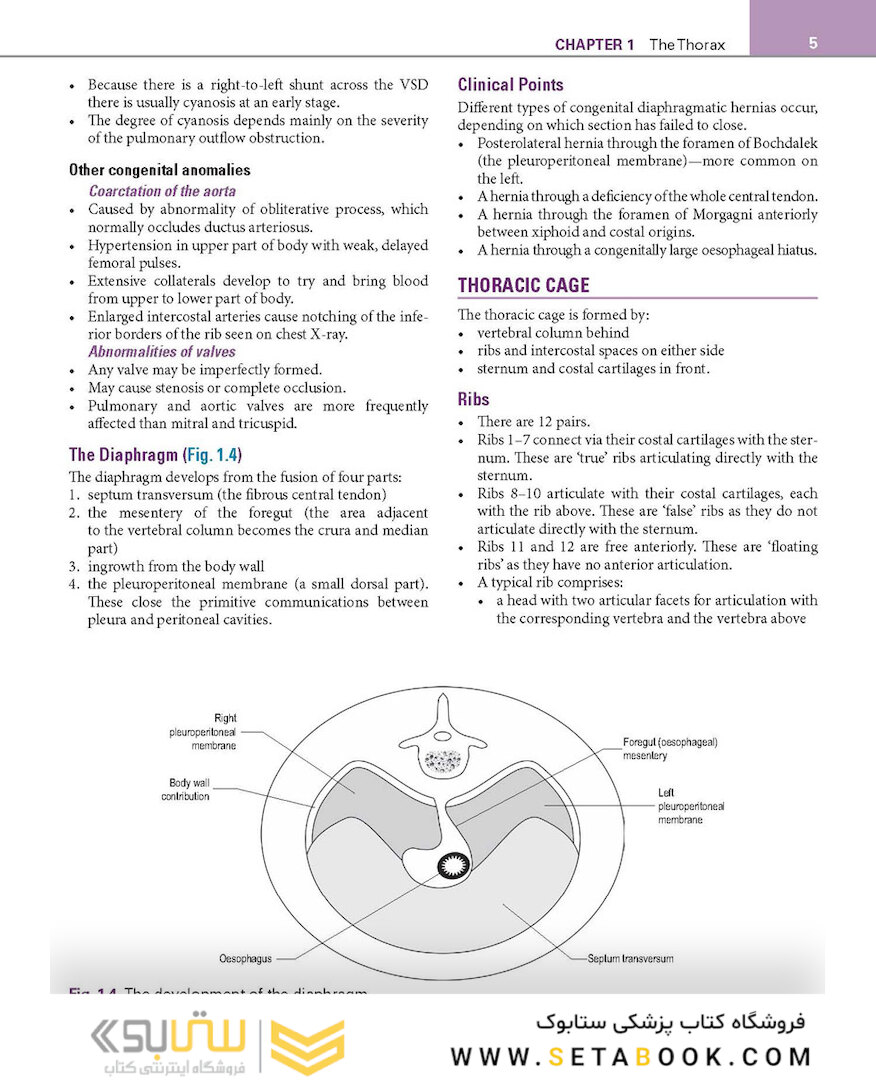 Basic Science for the MRCS: A revision guide for surgical trainees 4th Edicion