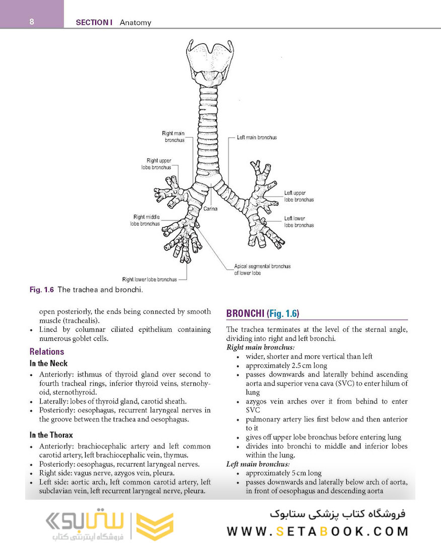 Basic Science for the MRCS: A revision guide for surgical trainees 4th Edicion
