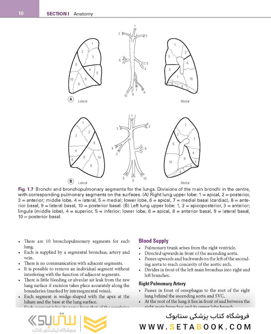 Basic Science for the MRCS: A revision guide for surgical trainees 4th Edicion