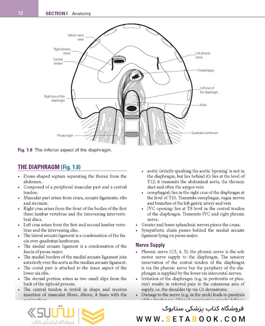Basic Science for the MRCS: A revision guide for surgical trainees 4th Edicion