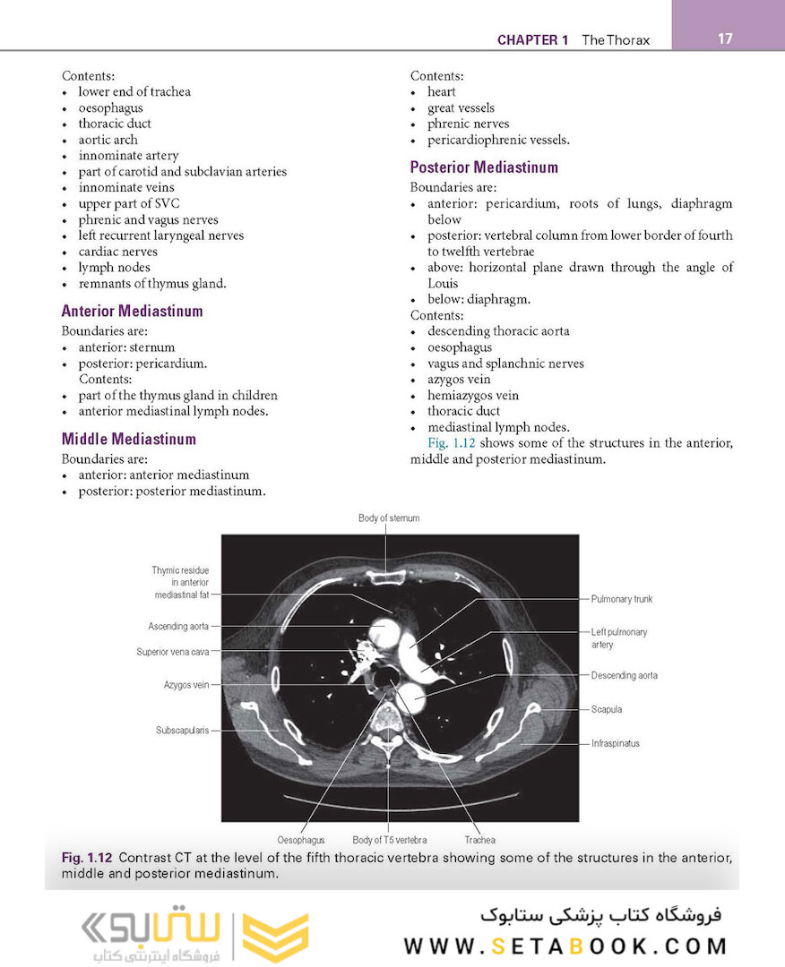 Basic Science for the MRCS: A revision guide for surgical trainees 4th Edicion