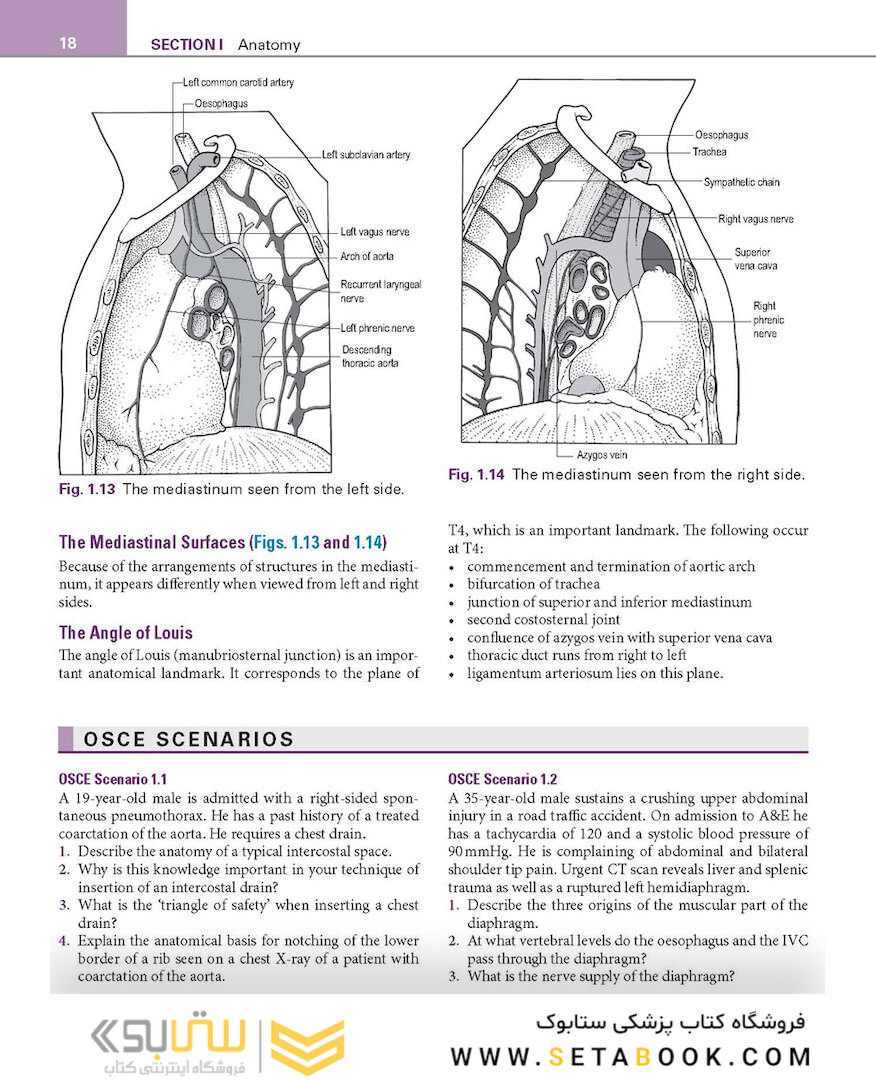 Basic Science for the MRCS: A revision guide for surgical trainees 4th Edicion