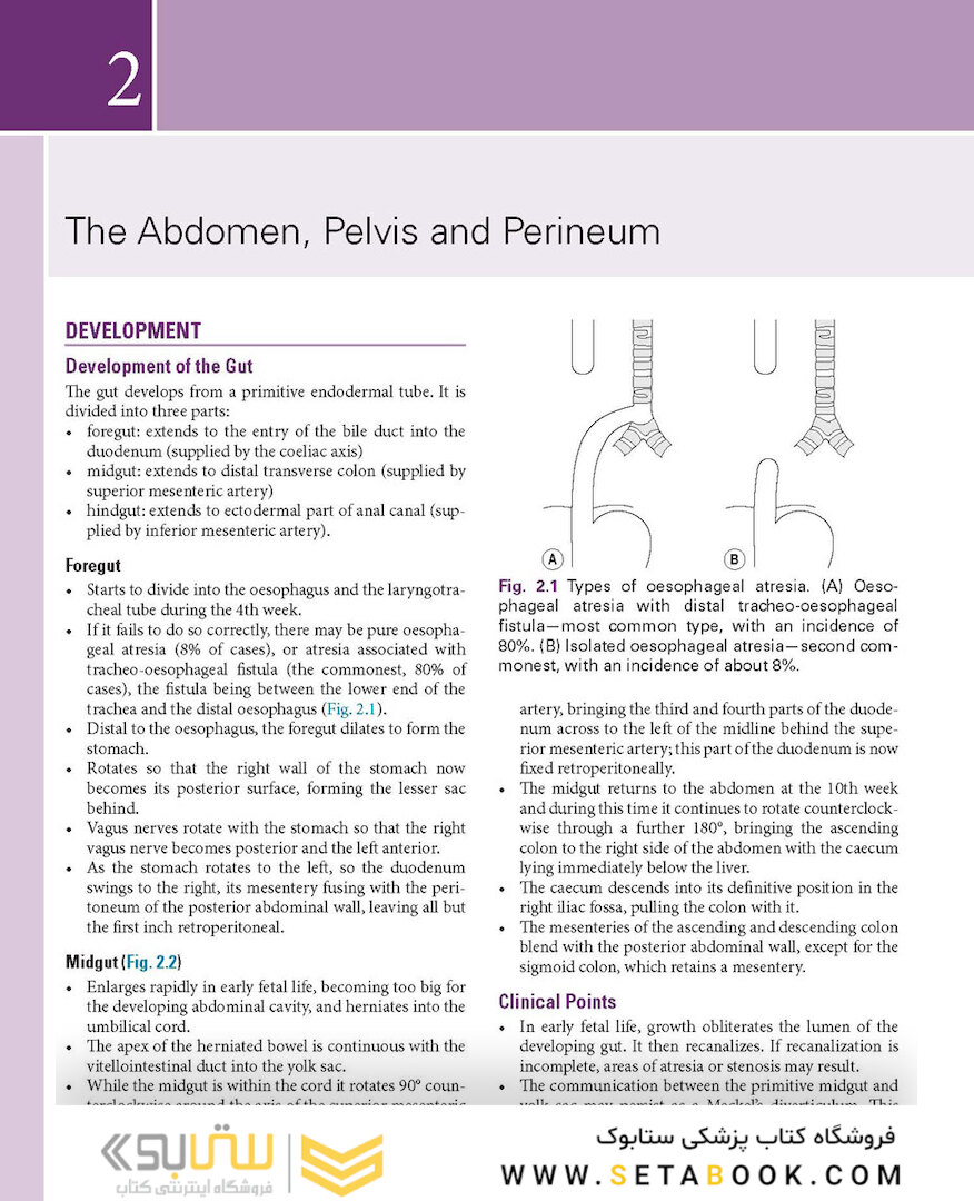 Basic Science for the MRCS: A revision guide for surgical trainees 4th Edicion