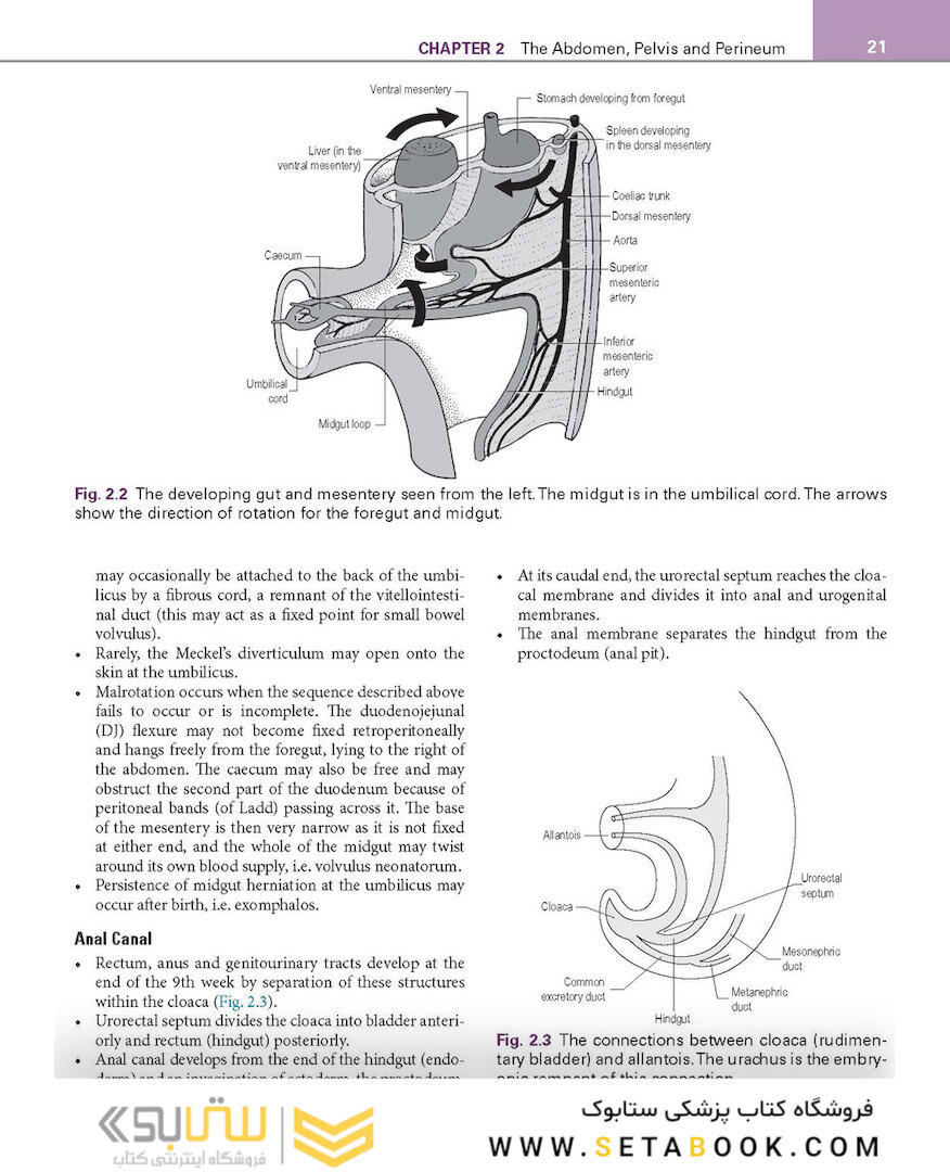 Basic Science for the MRCS: A revision guide for surgical trainees 4th Edicion