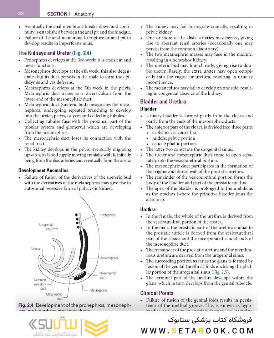 Basic Science for the MRCS: A revision guide for surgical trainees 4th Edicion