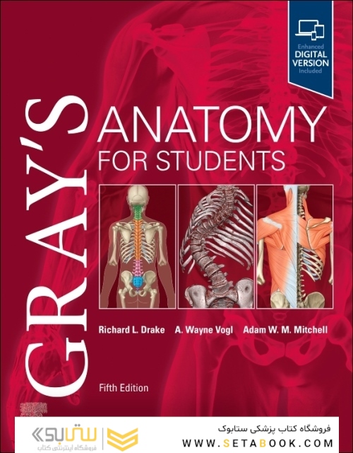 Gray’s Anatomy for Students 5th Edition 2024