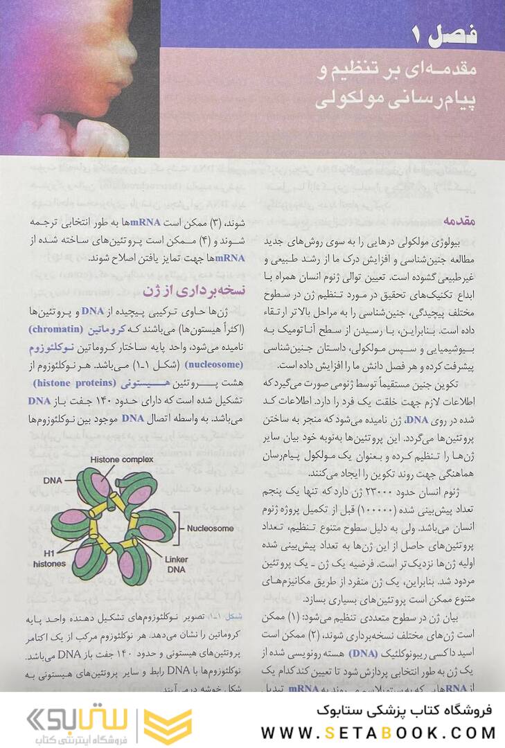 جنین شناسی پزشکی لانگمن 2023