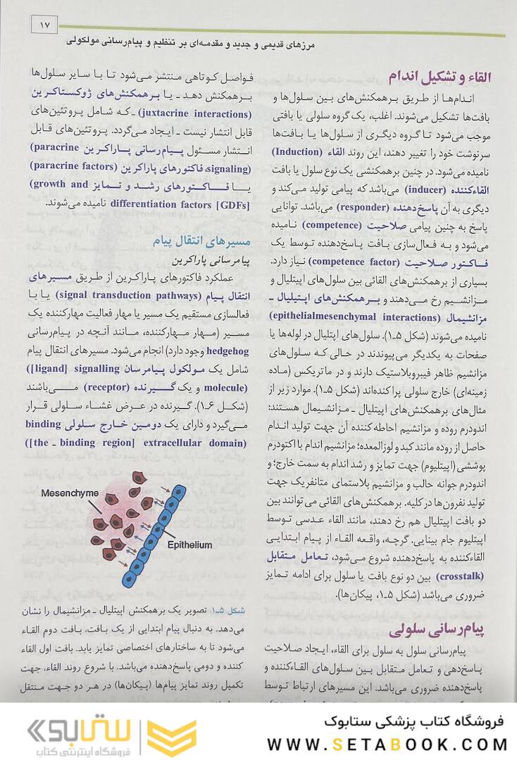 جنین شناسی پزشکی لانگمن 2023