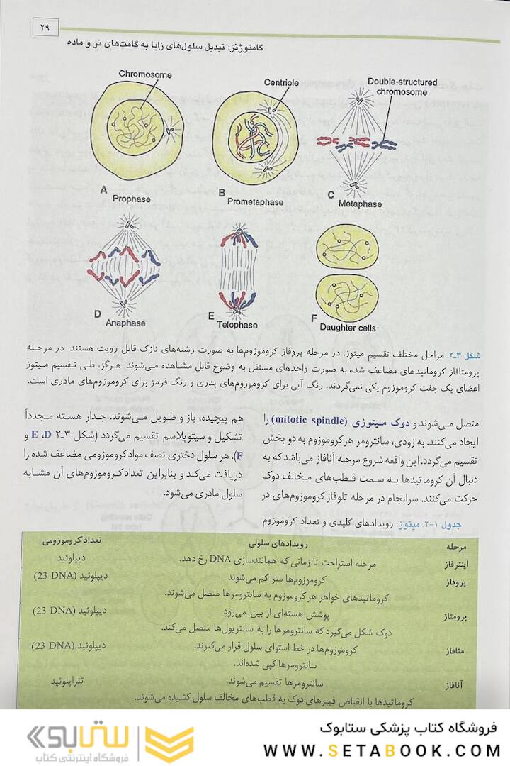 جنین شناسی پزشکی لانگمن 2023