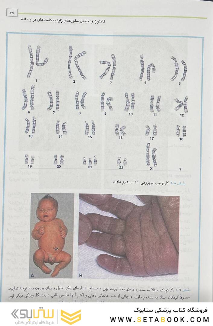 جنین شناسی پزشکی لانگمن 2023