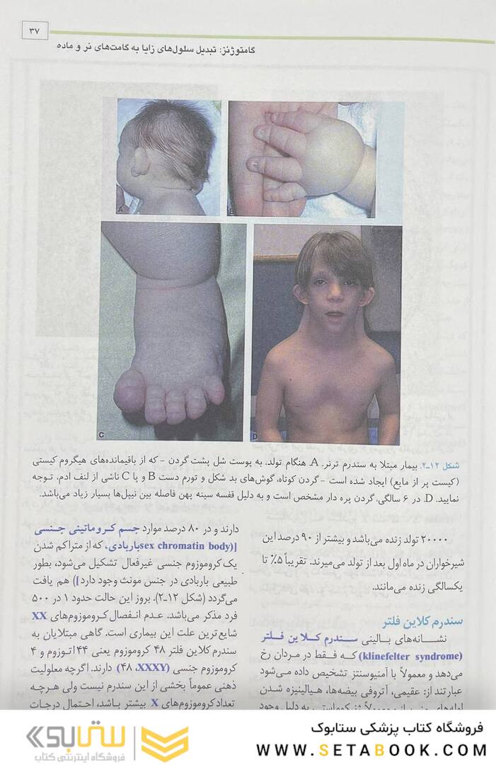 جنین شناسی پزشکی لانگمن 2023