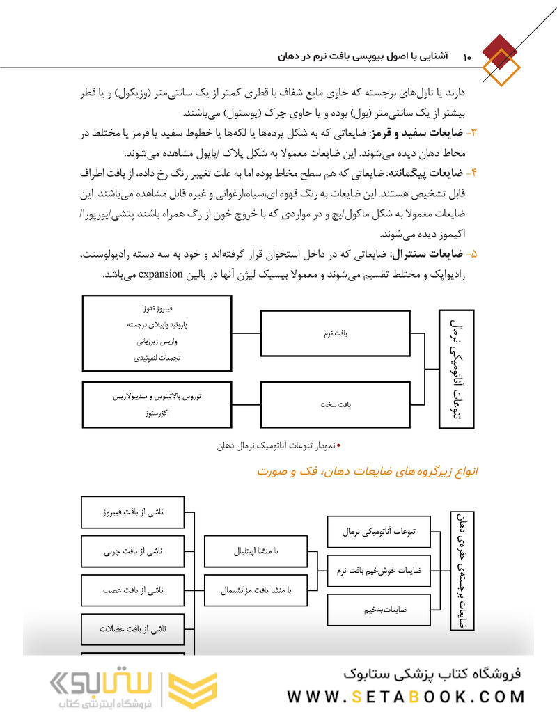 آشنایی با اصول بیوپسی بافت نرم در دهان