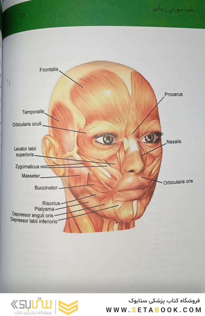 اولین مرجع طب سوزنی زیبایی صورت 2022