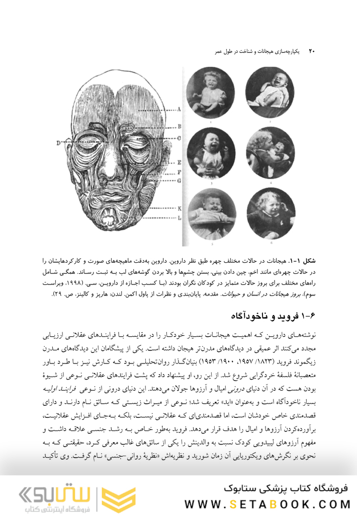 یکپارچه  سازی هیجانات و شناخت در طول عمر