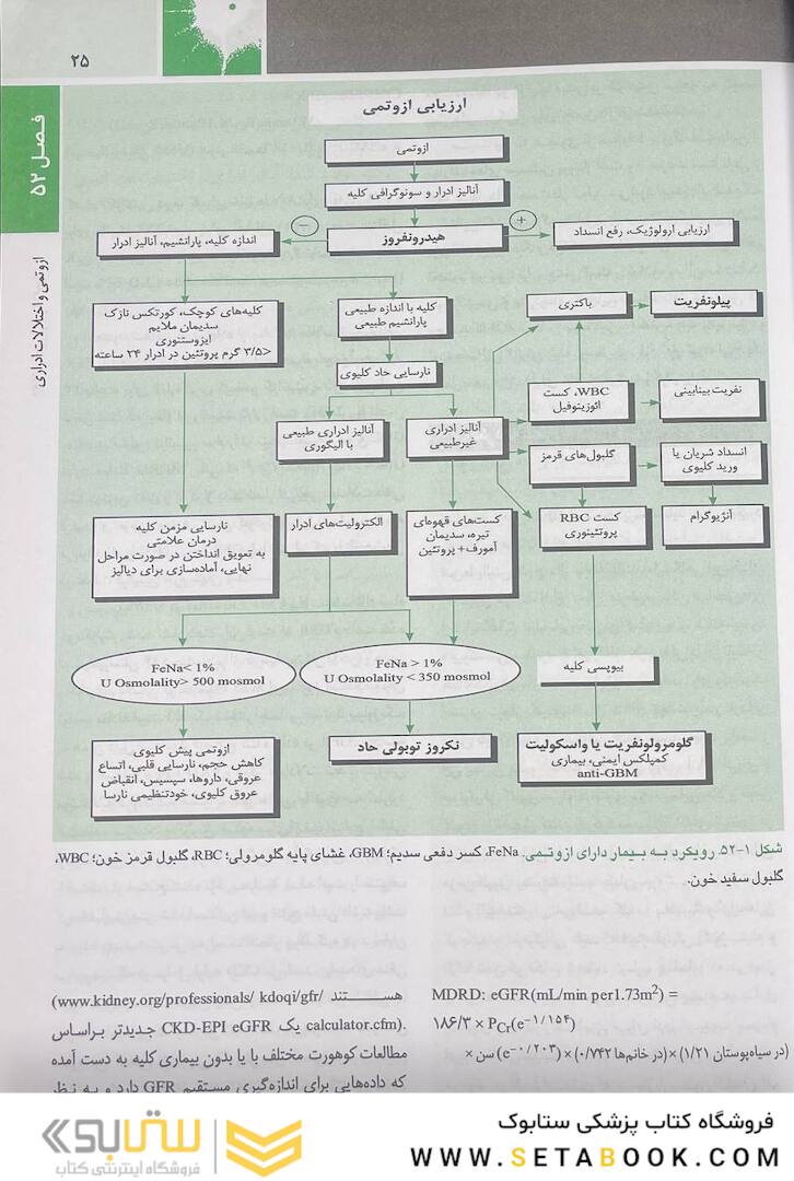 اصول طب داخلی هاریسون بیماری های کلیه و مجاری ادراری 2022