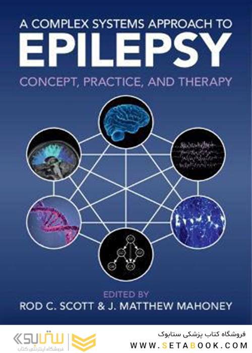 A Complex Systems Approach to Epilepsy: Concept, Practice, and Therapy New Edition
