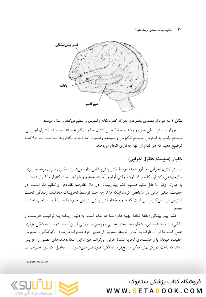 چگونه کودک مستقل تربیت کنیم؟
