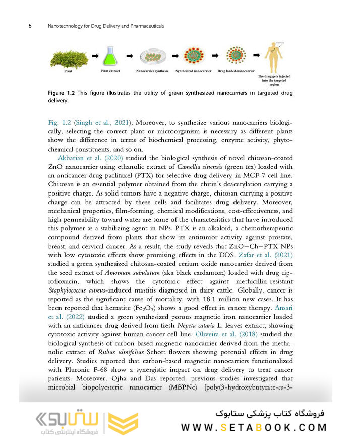 Nanotechnology for Drug Delivery and Pharmaceuticals 2023