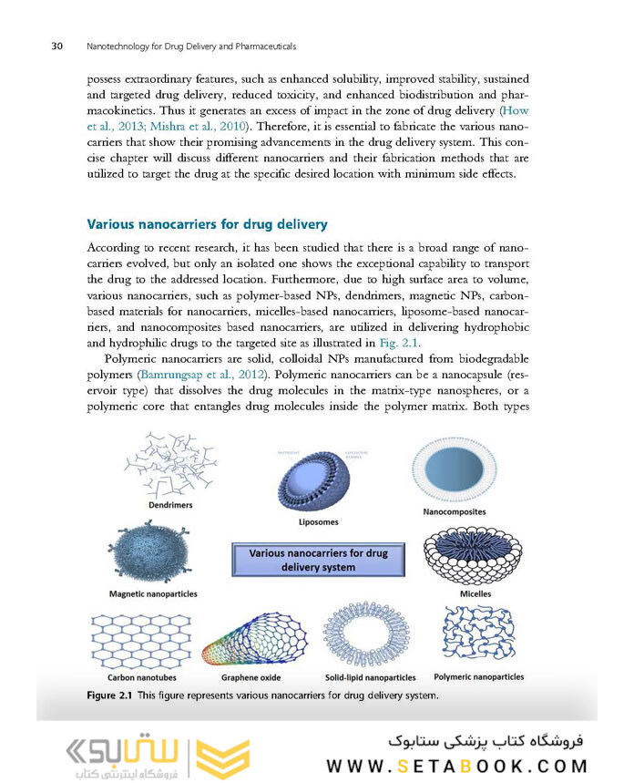 Nanotechnology for Drug Delivery and Pharmaceuticals 2023