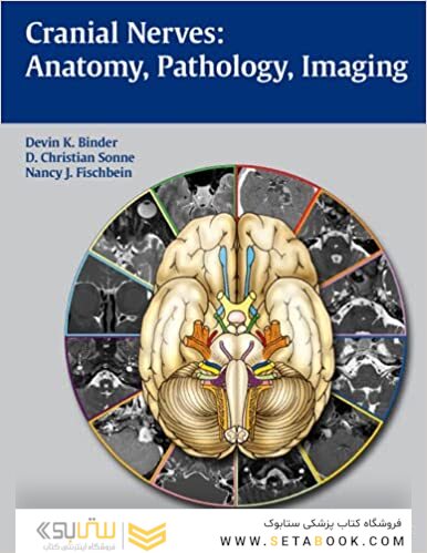 Cranial Nerves: Anatomy, Pathology, Imaging
