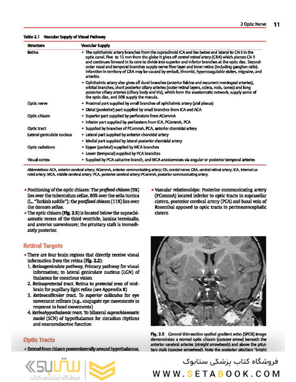Cranial Nerves: Anatomy, Pathology, Imaging