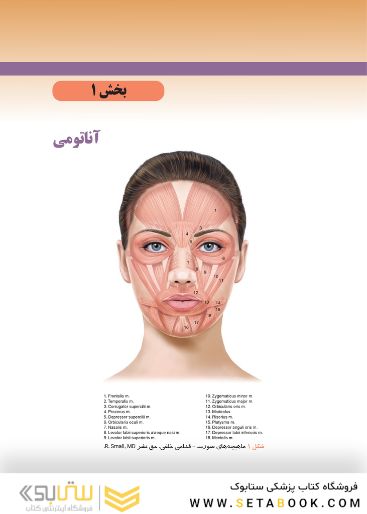راهنمای عملی روش های بوتولینوم توکسین