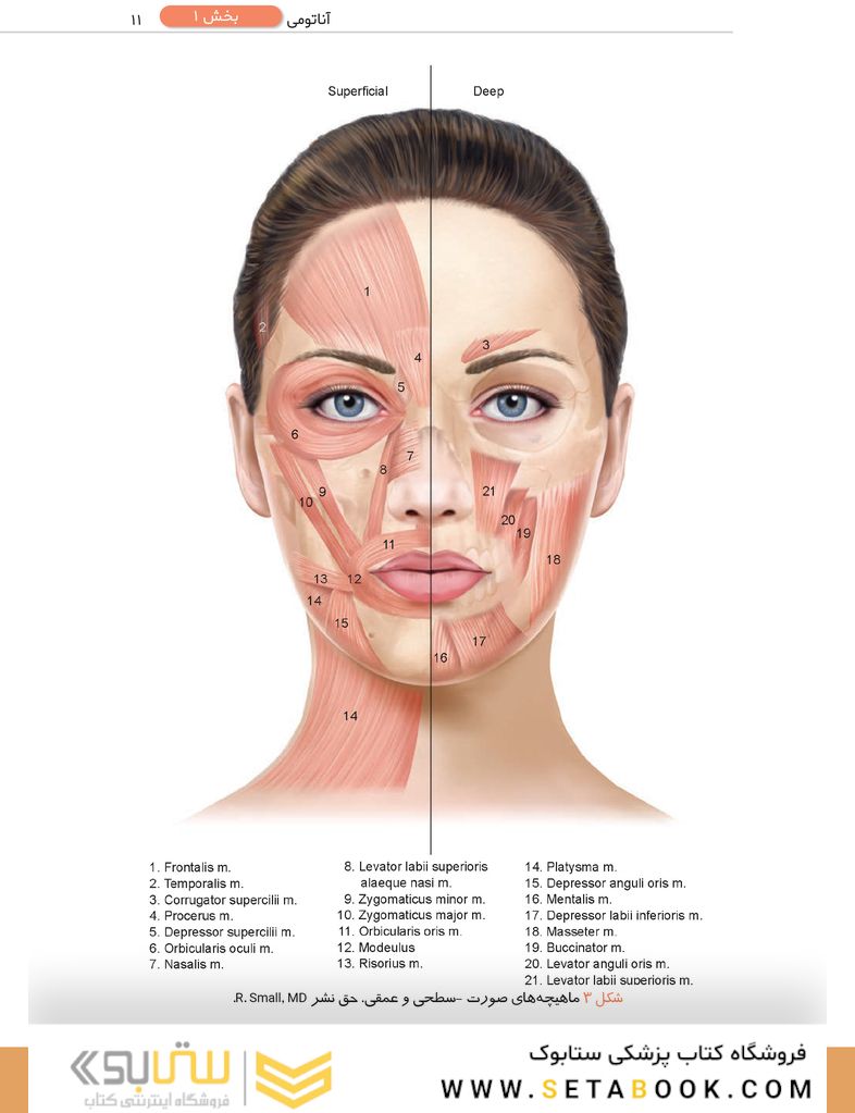 راهنمای عملی روش های بوتولینوم توکسین