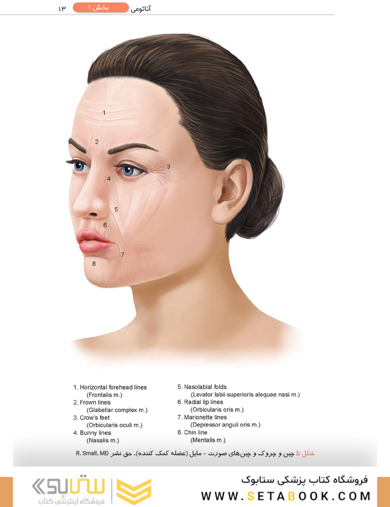 راهنمای عملی روش های بوتولینوم توکسین