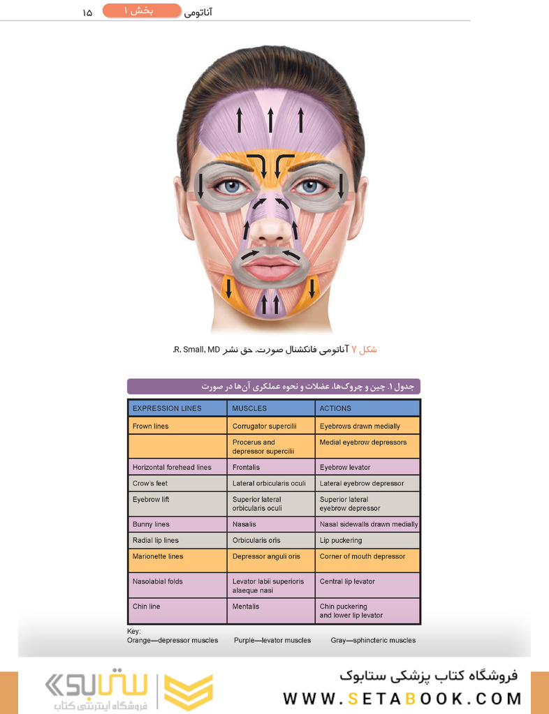 راهنمای عملی روش های بوتولینوم توکسین