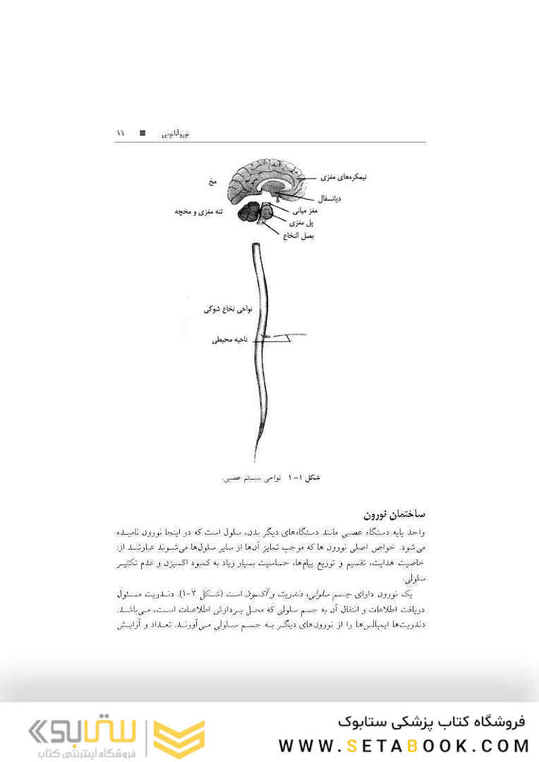 تکنیک های توانبخشی در درمان سکته مغزی