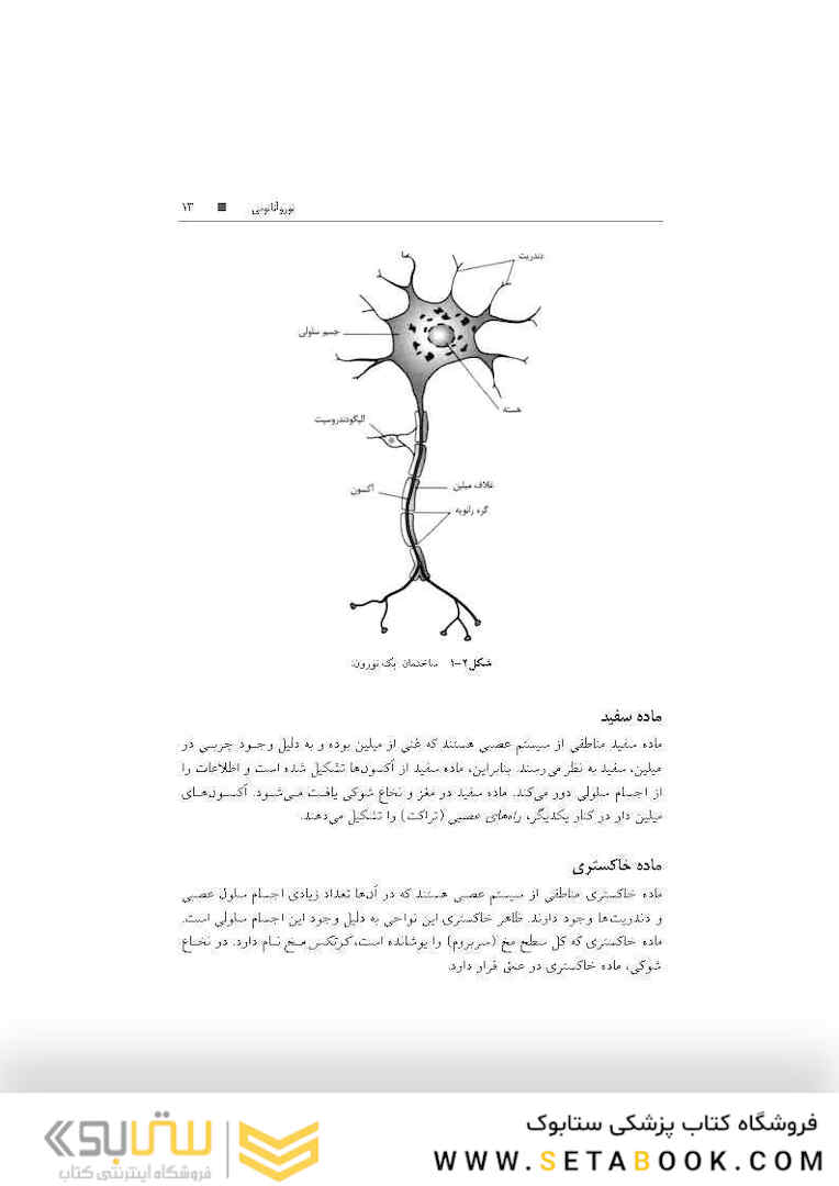 تکنیک های توانبخشی در درمان سکته مغزی