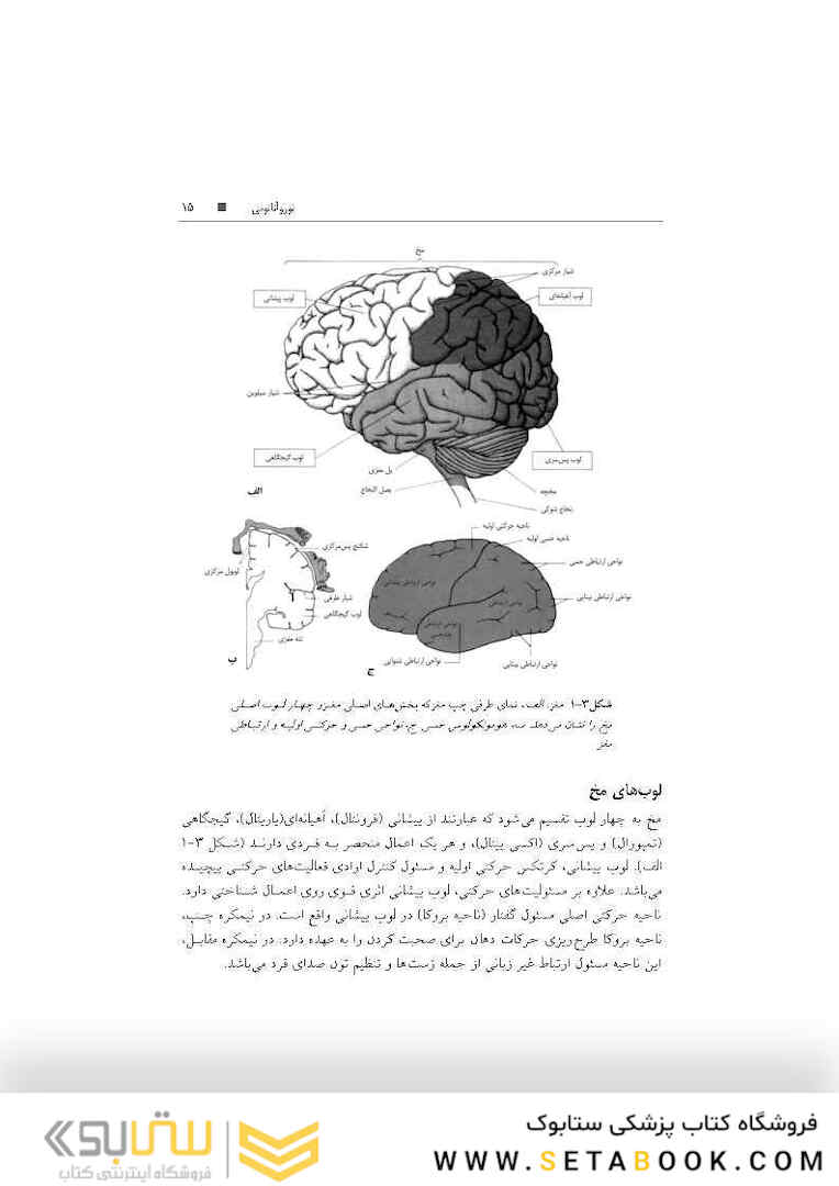 تکنیک های توانبخشی در درمان سکته مغزی
