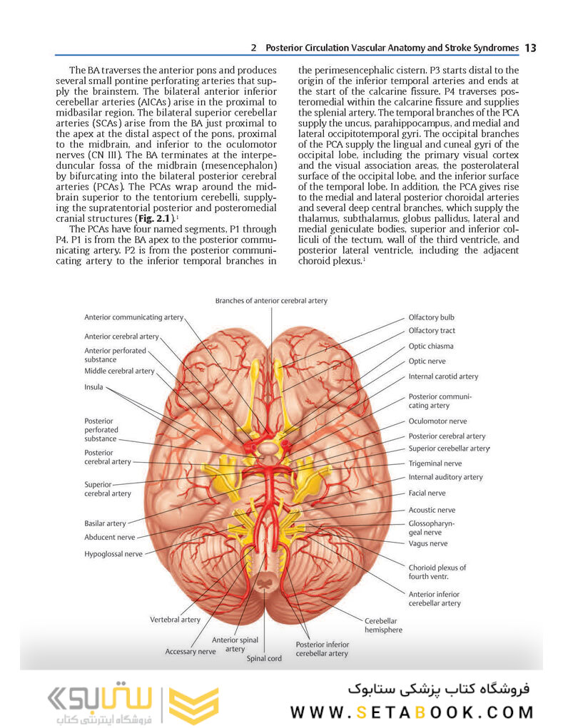 Neurosurgery Knowledge Update : A Comprehensive Review 2015