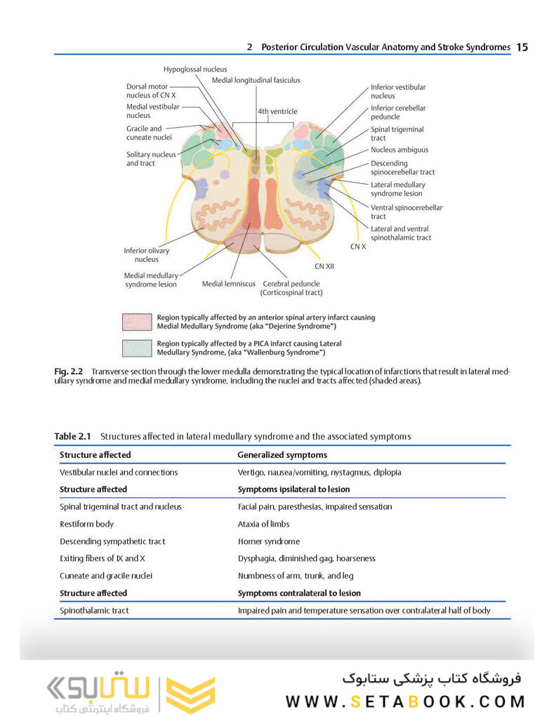 Neurosurgery Knowledge Update : A Comprehensive Review 2015