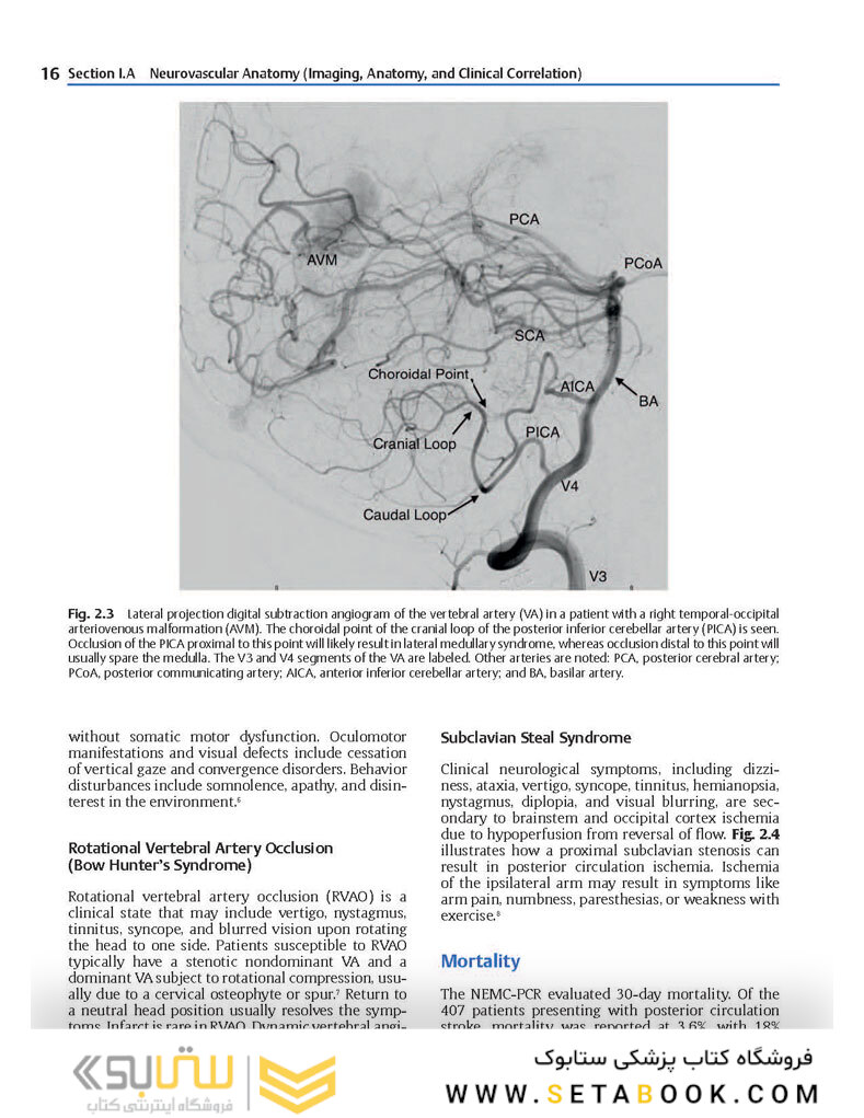 Neurosurgery Knowledge Update : A Comprehensive Review 2015