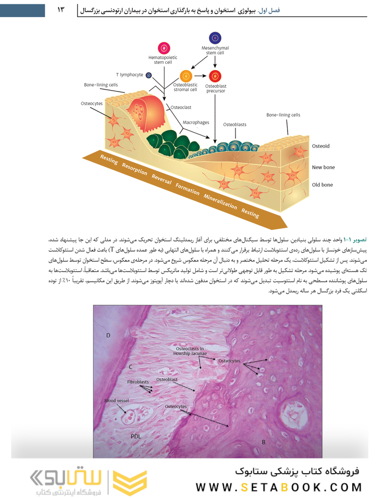 بیماران ارتو - پریو شواهد بالینی و راهنمای درمان
