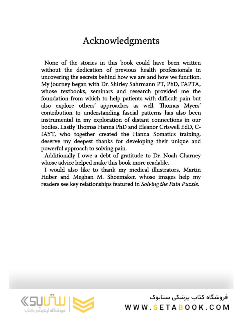 Solving the Pain Puzzle: Cases from 25 Years as a Physical Therapist Paperback