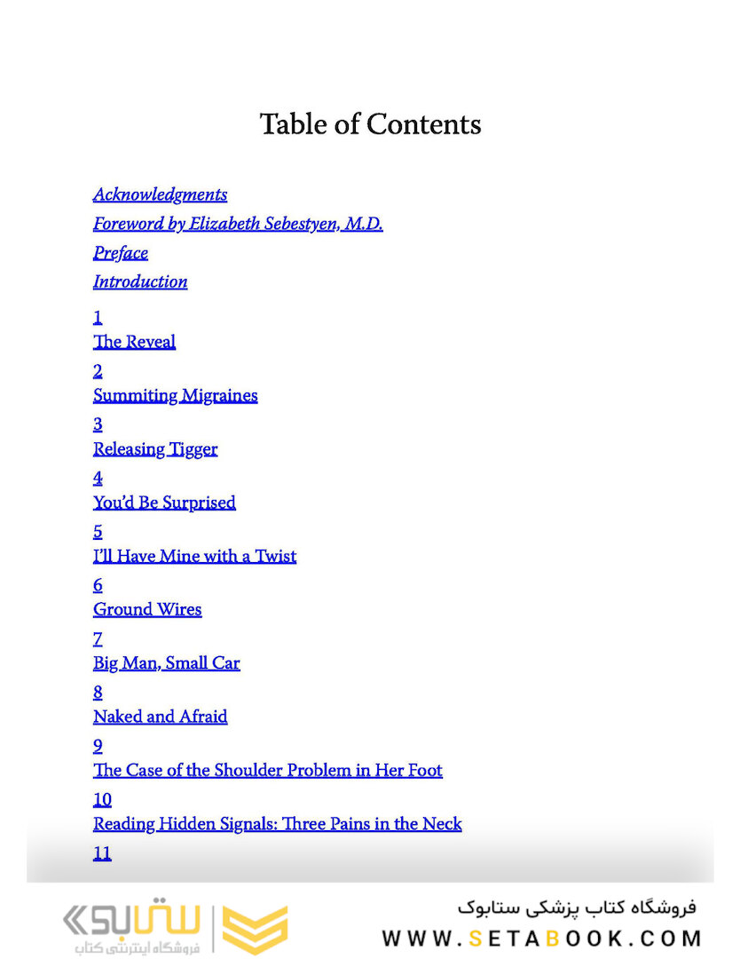 Solving the Pain Puzzle: Cases from 25 Years as a Physical Therapist Paperback