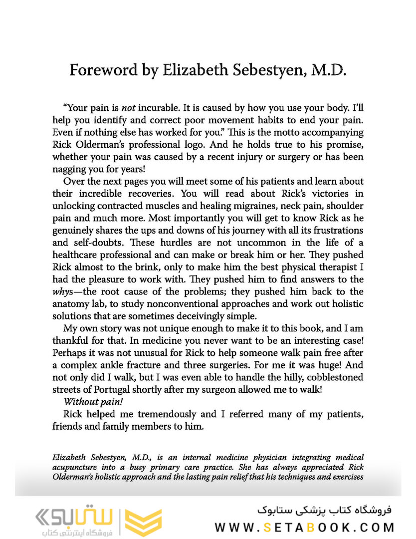 Solving the Pain Puzzle: Cases from 25 Years as a Physical Therapist Paperback