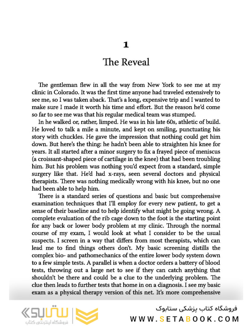 Solving the Pain Puzzle: Cases from 25 Years as a Physical Therapist Paperback