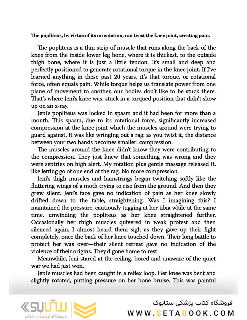 Solving the Pain Puzzle: Cases from 25 Years as a Physical Therapist Paperback