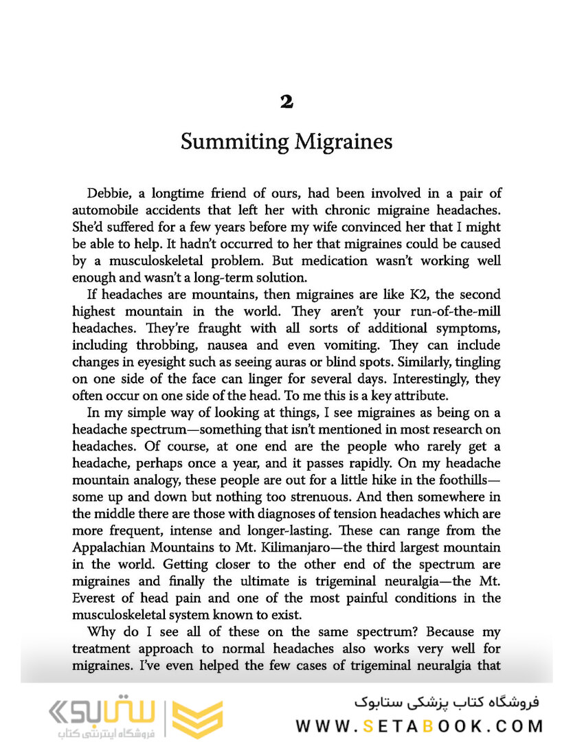 Solving the Pain Puzzle: Cases from 25 Years as a Physical Therapist Paperback