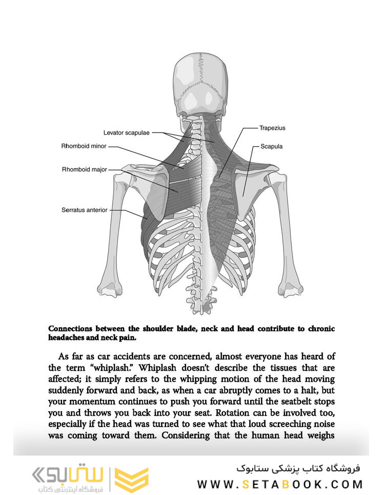 Solving the Pain Puzzle: Cases from 25 Years as a Physical Therapist Paperback