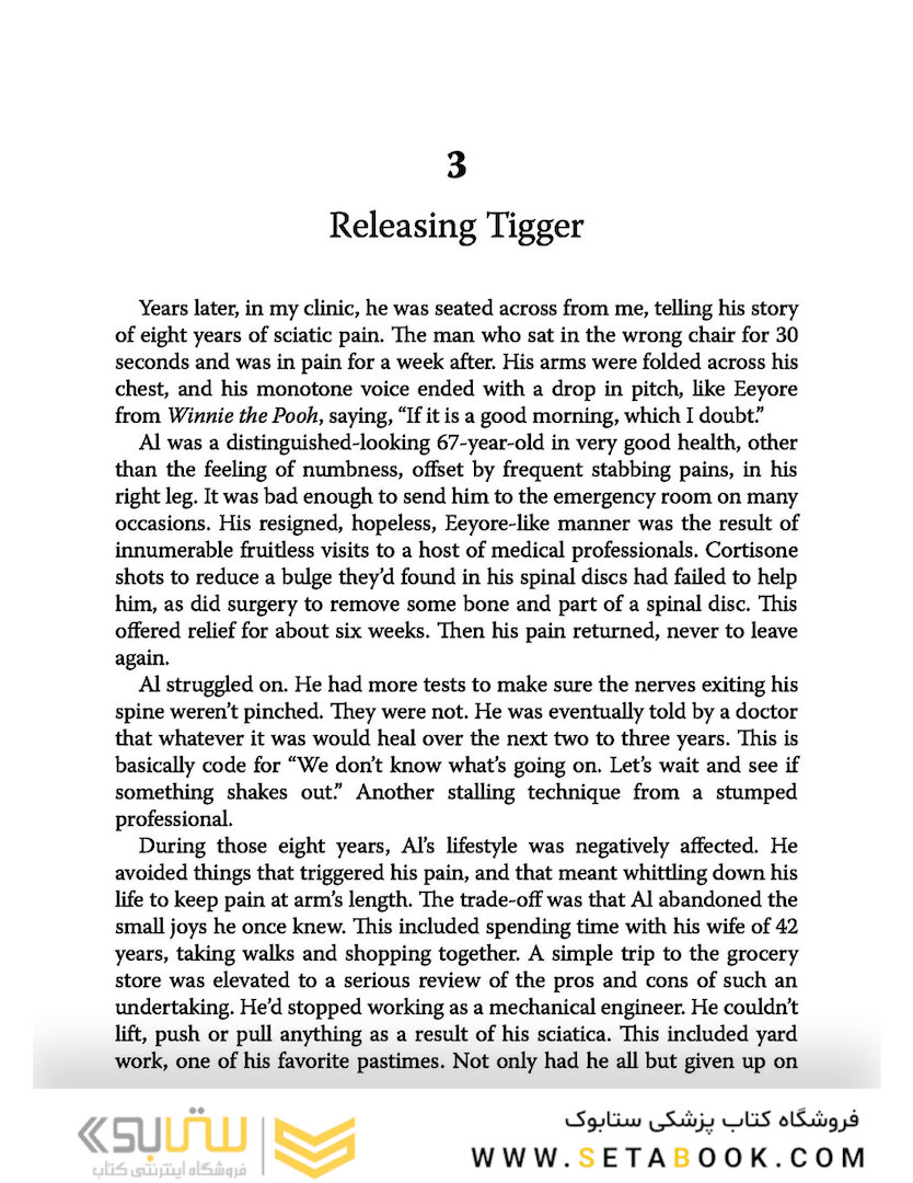 Solving the Pain Puzzle: Cases from 25 Years as a Physical Therapist Paperback