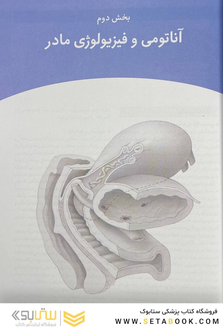 خلاصه بارداری و زایمان ویلیامز 2022