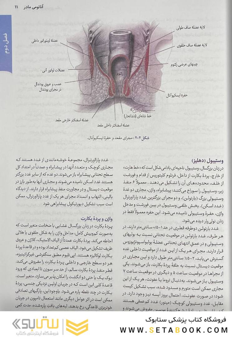 خلاصه بارداری و زایمان ویلیامز 2022